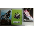 Caderno espiral c/d 1/4 c/1 pç 96fls nova 439163 439842