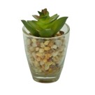 Mini vaso vidro lettle rocks com planta verde c/1pç 44585