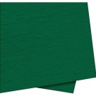 Ppapel crepom verde bandeira c/10pçs  48x2mt 830011 crv 100061 nova print/ridet