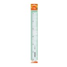 Regua plastica 30cm pct c/25pçs 4327 leo e leo